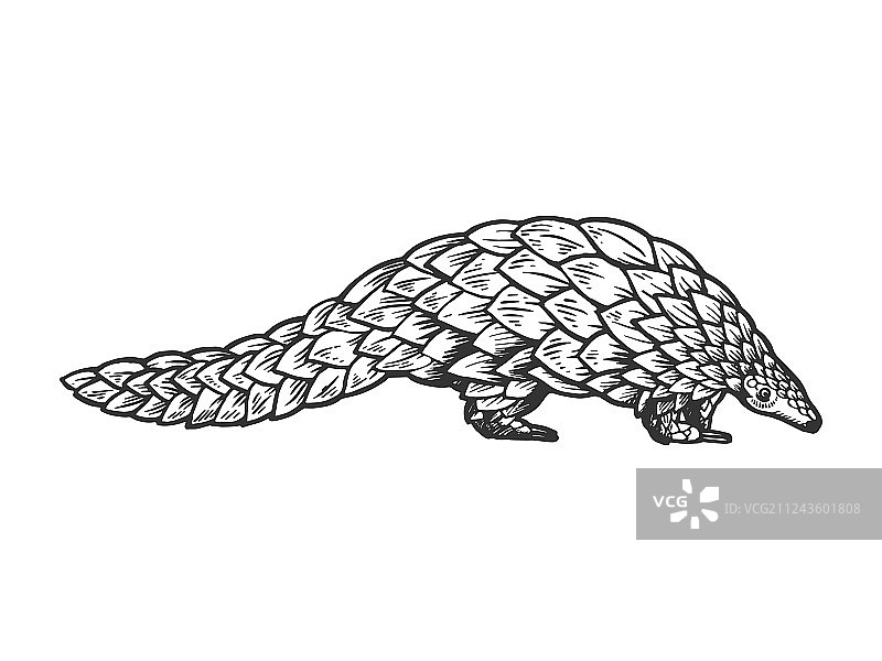 穿山甲动物雕刻图片素材