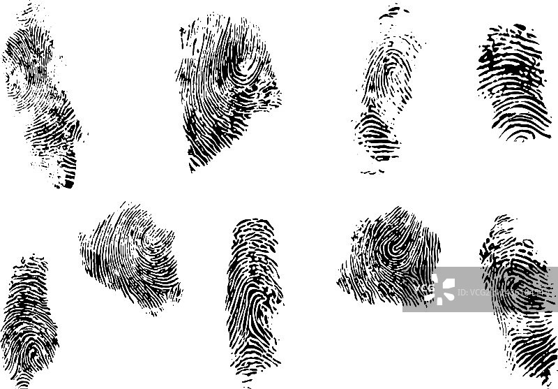 指纹图案合集图片素材