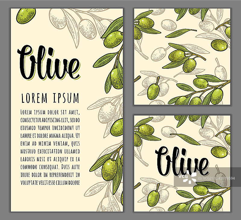 树枝和叶子上的橄榄无缝图案图片素材