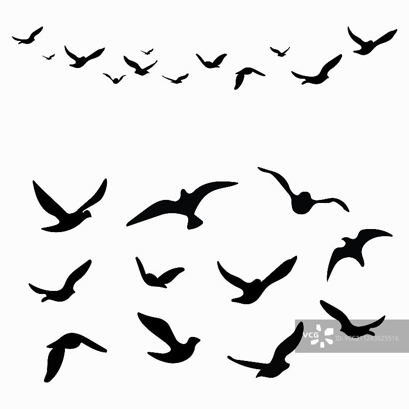 鸟群黑色轮廓剪影图片素材