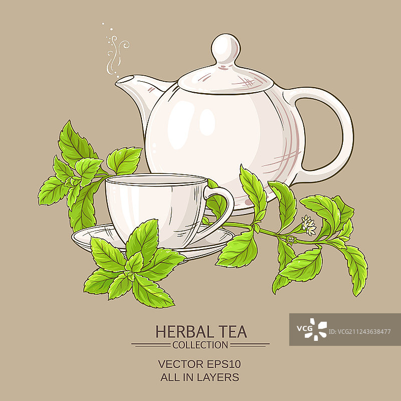 甜叶菊茶图片素材