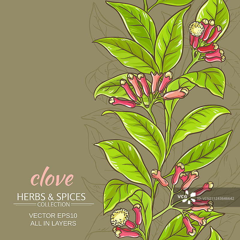 丁香背景图片素材