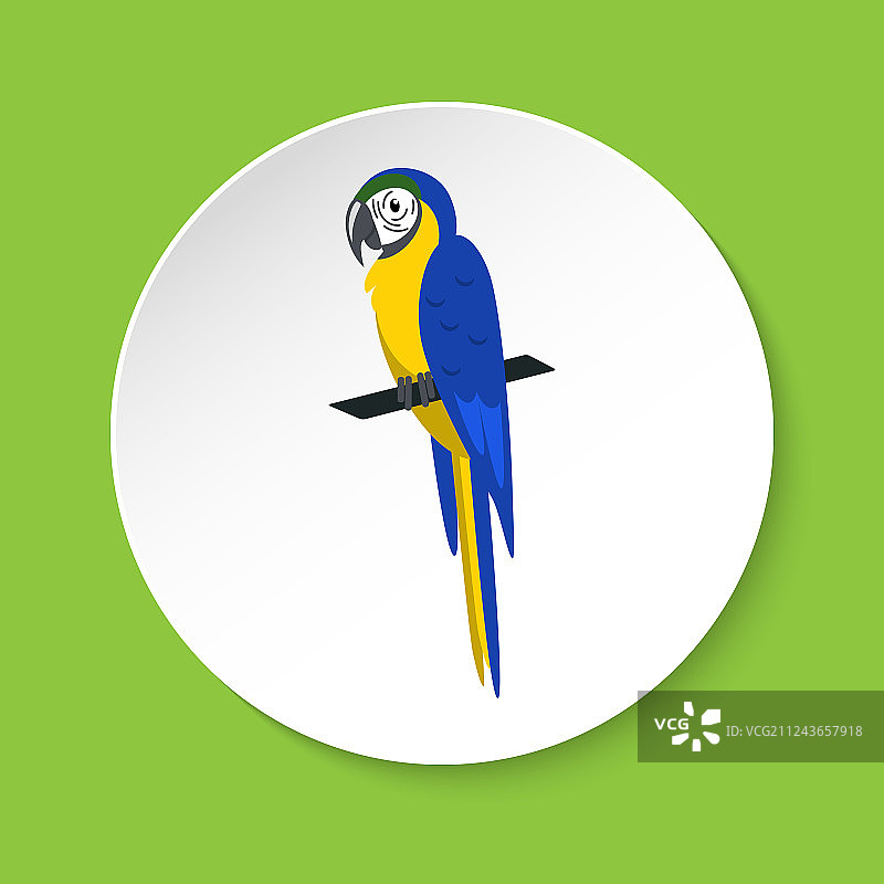 扁平风格的蓝黄色金刚鹦鹉图标图片素材