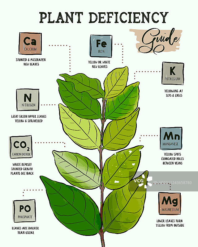 植物缺陷指南 - 种植问题图片素材