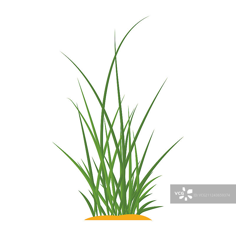 土堆上成簇的绿草图片素材