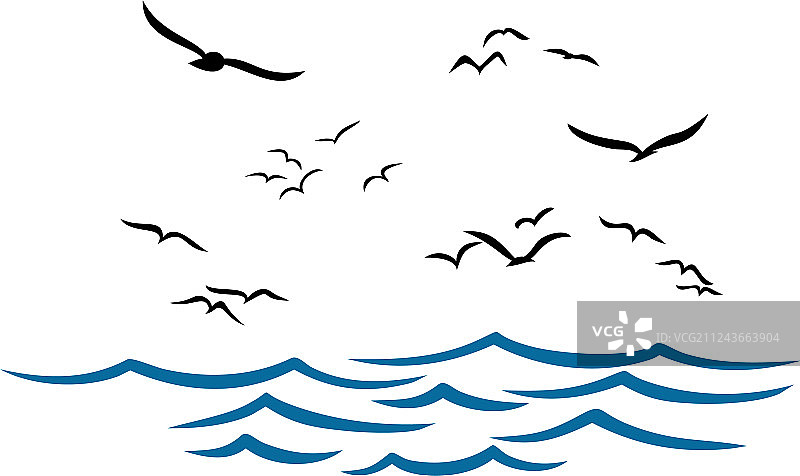 海鸥飞翔的海面图片素材