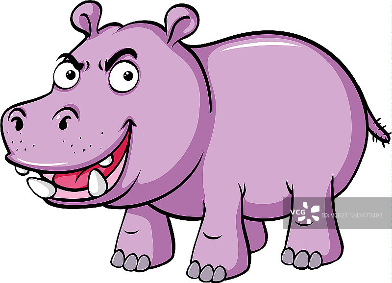 表情严肃的河马图片素材