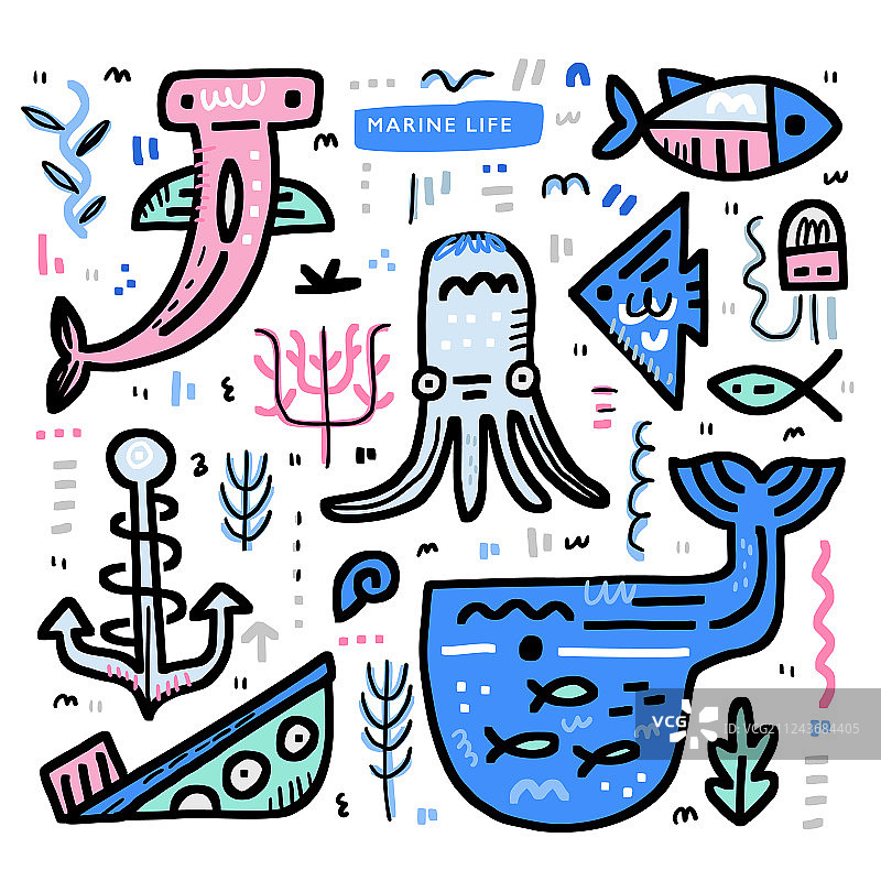 海洋生物概念图片素材