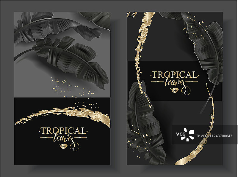 黑金热带香蕉叶banner图片素材