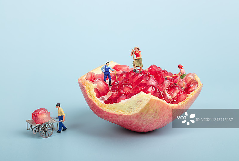 石榴特写果农采摘秋天丰收图片素材