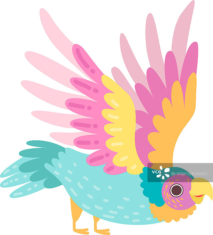 具有虹彩羽毛的热带鹦鹉图片素材