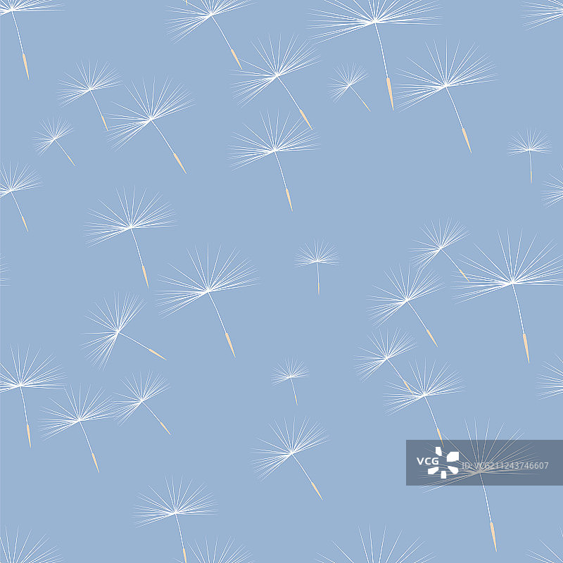 蒲公英种子图案图片素材