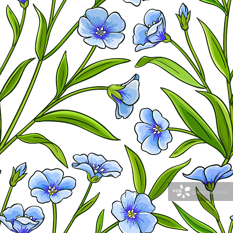 白色背景上的亚麻植物图案图片素材