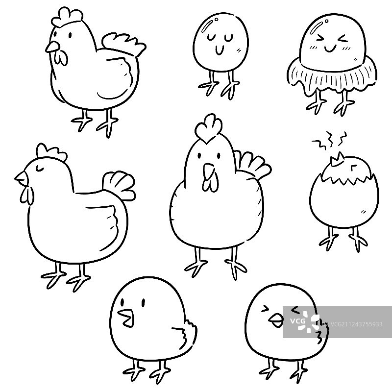 小鸡和鸡蛋组合图片素材