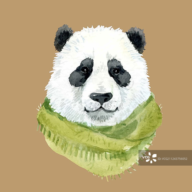 戴围巾的熊猫图片素材