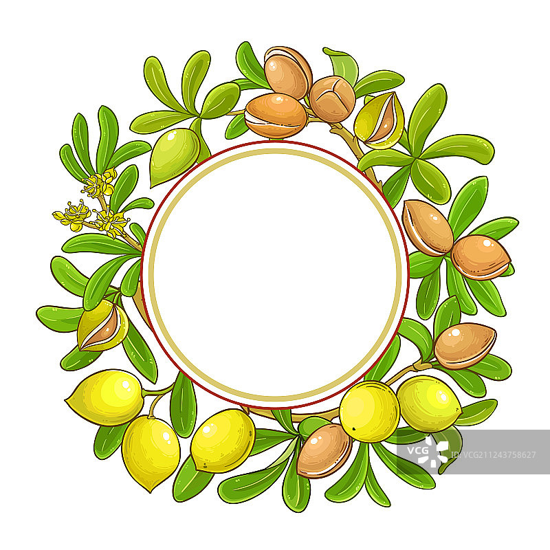 摩洛哥坚果树枝白色背景框架图片素材