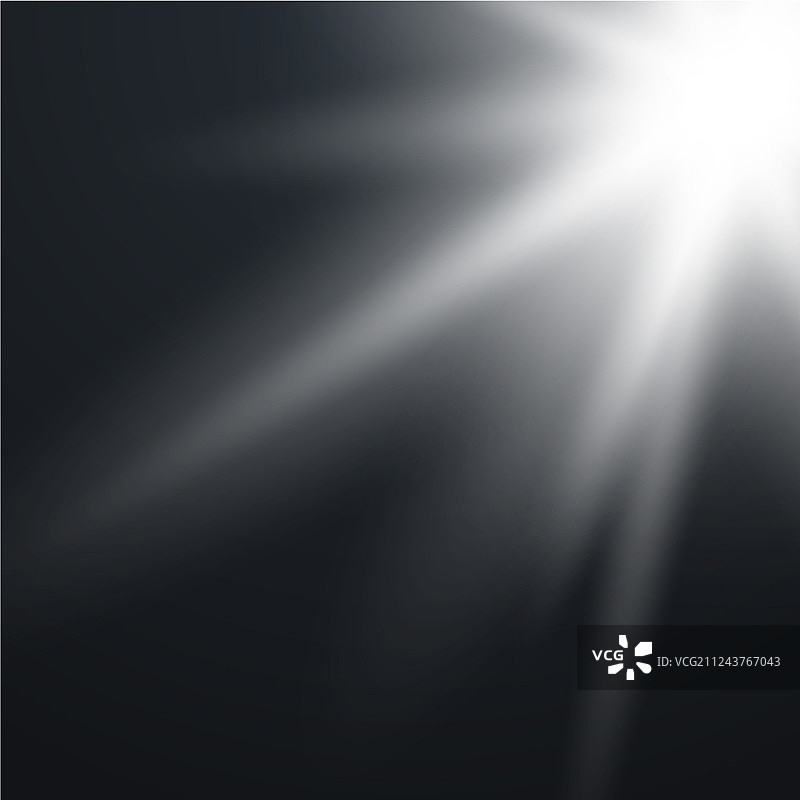 阳光下的半透明特殊设计图片素材