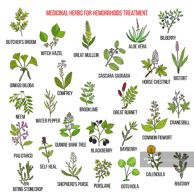 治疗痔疮的最佳草药疗法图片素材