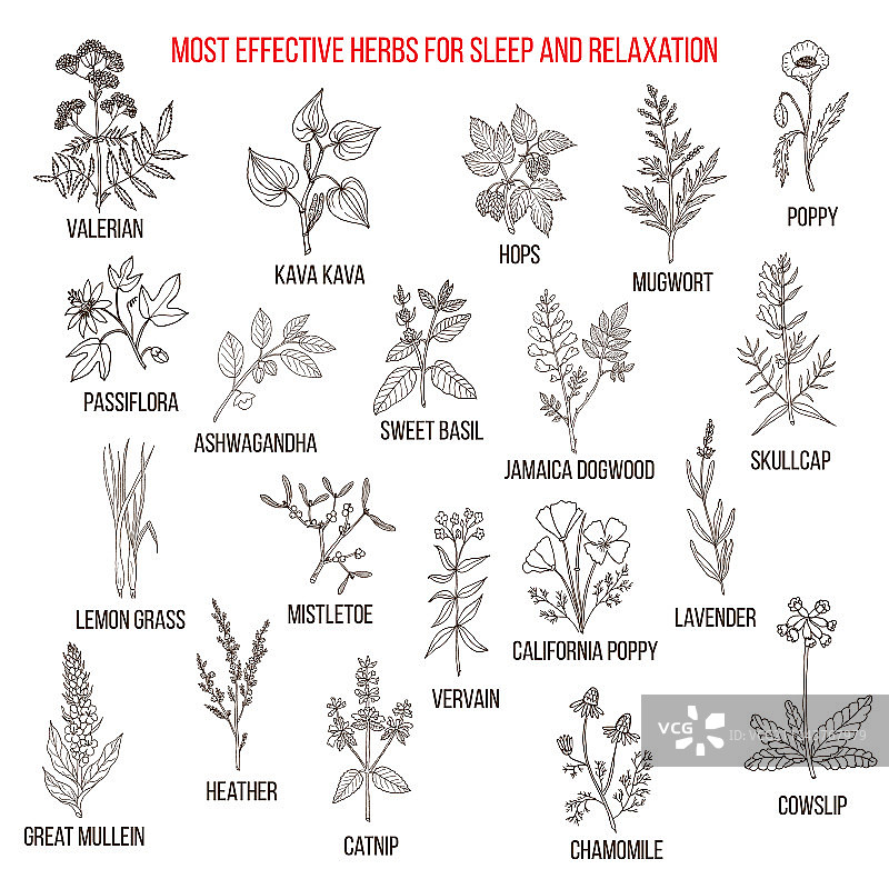 改善睡眠和放松的草药疗法图片素材