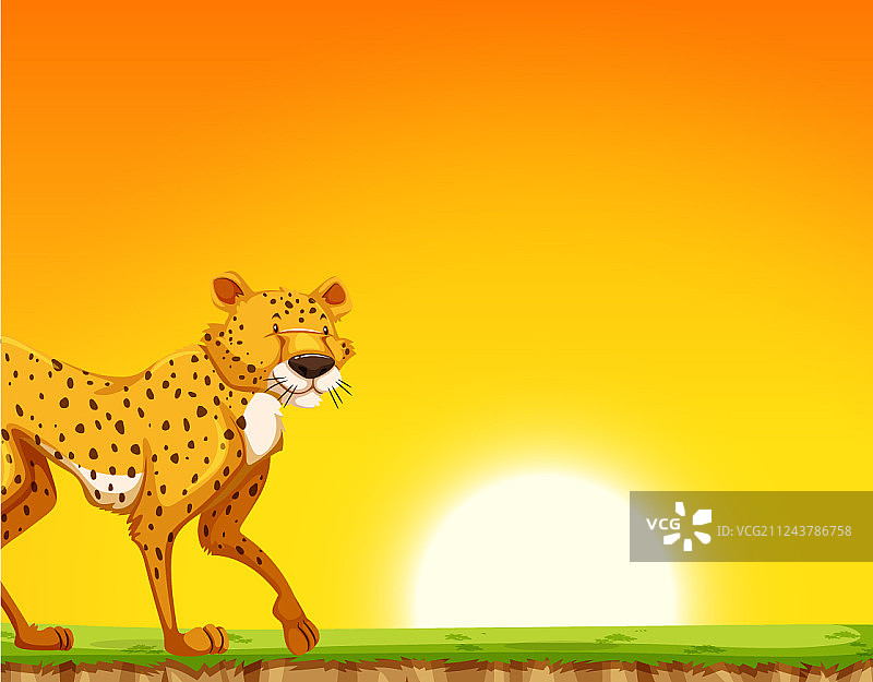日落时分的猎豹场景图片素材