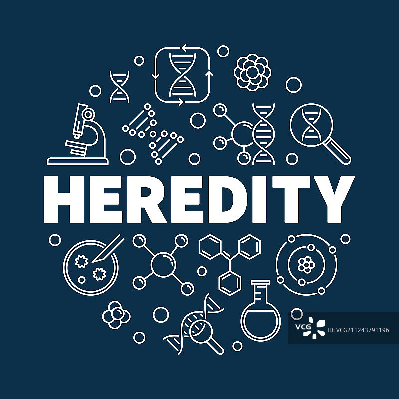 遗传轮廓图图片素材