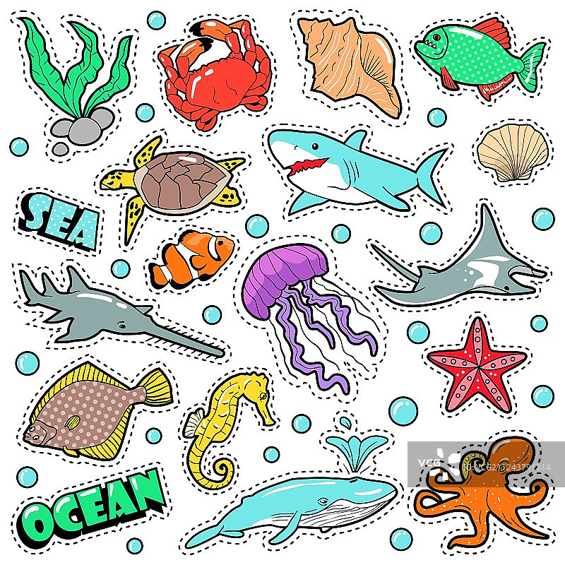 海洋生物徽章贴片贴纸图片素材