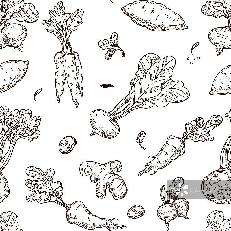根类食物素描无缝图案图片素材