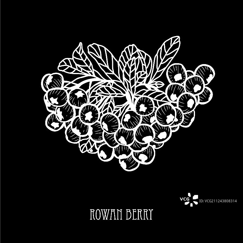 手绘花卉装饰图片素材