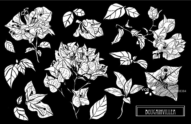 手绘花卉装饰图片素材