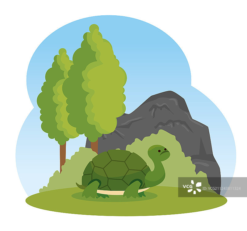 树木和灌木丛中的野生海龟图片素材