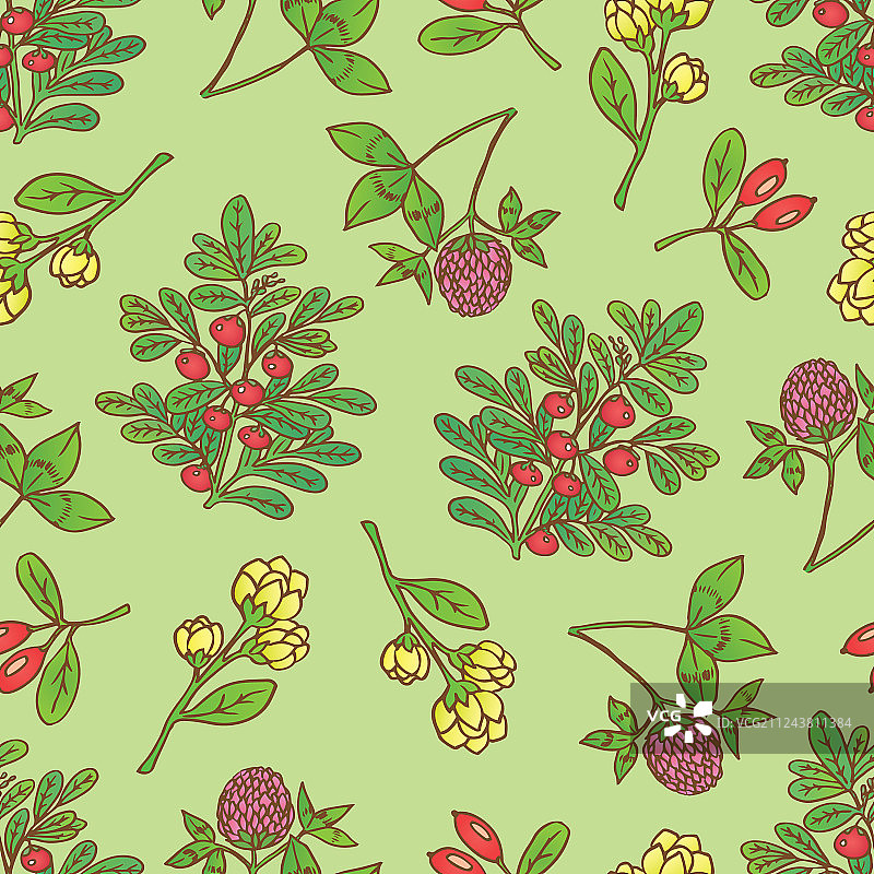 伏牛花无缝图案图片素材