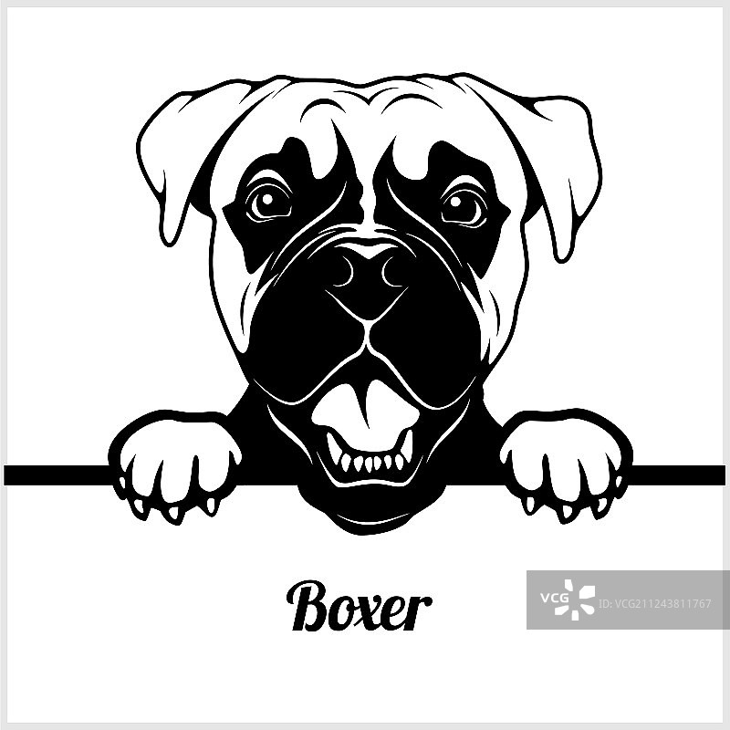 小狗品种头像图片素材