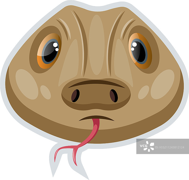 蛇的颜色图片素材