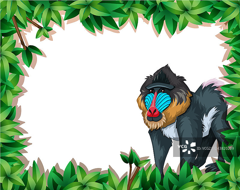 山魈在自然画框上图片素材