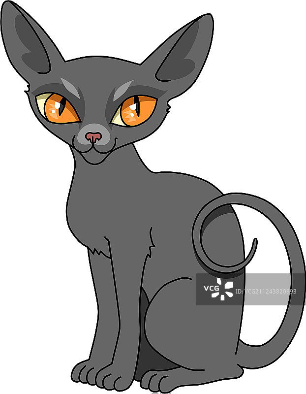 黑色的猫图片素材