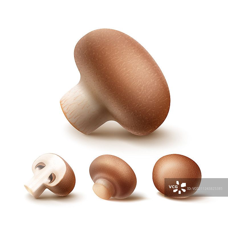 棕色蘑菇切片图片素材