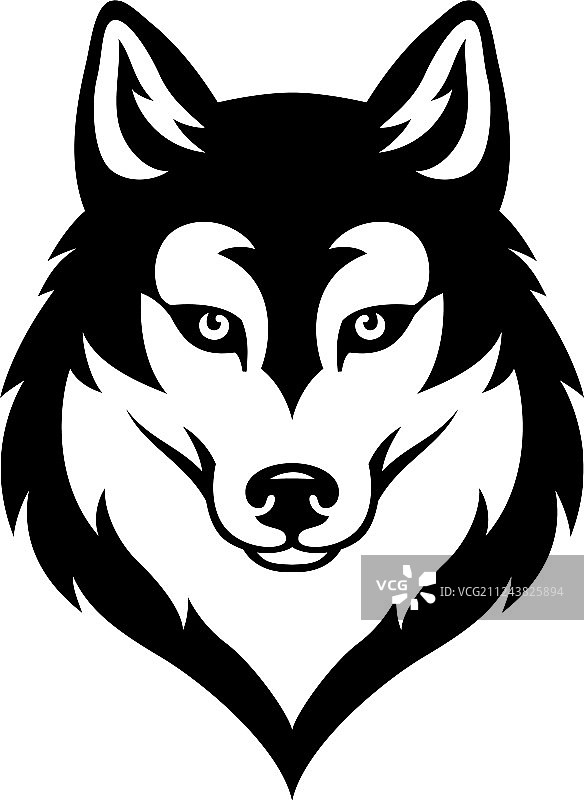 哈士奇犬头部图片素材