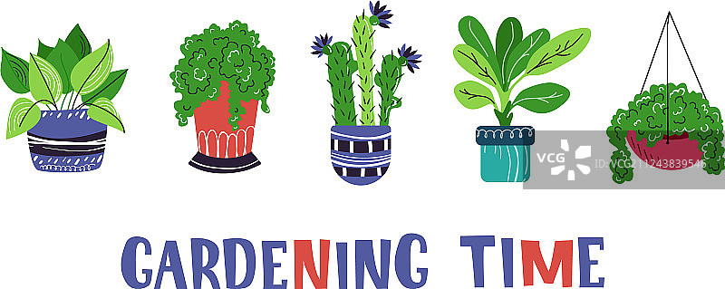 盆栽合集图片素材