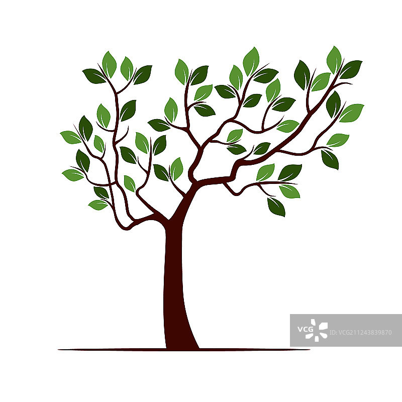 彩色树叶树木图片素材