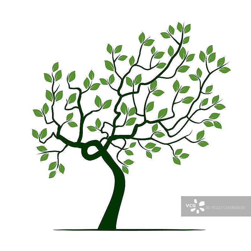 有树叶的绿树图片素材