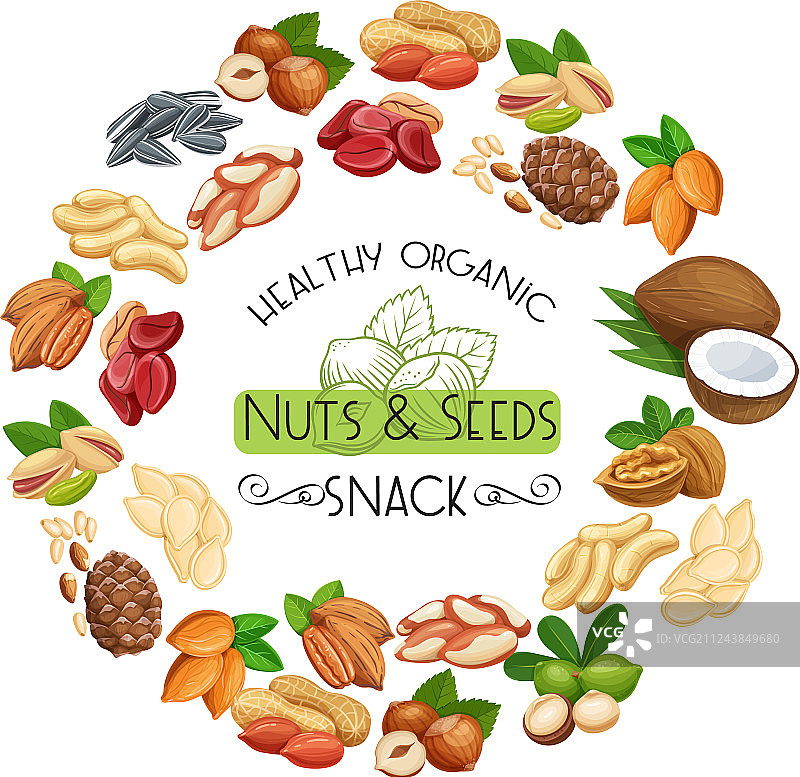 坚果和种子图片素材
