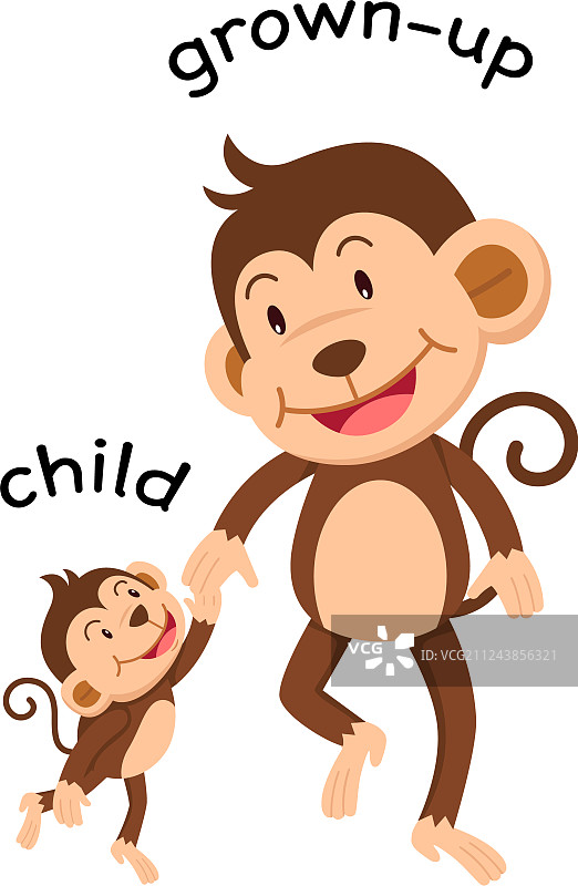 儿童和成人的反义词图片素材