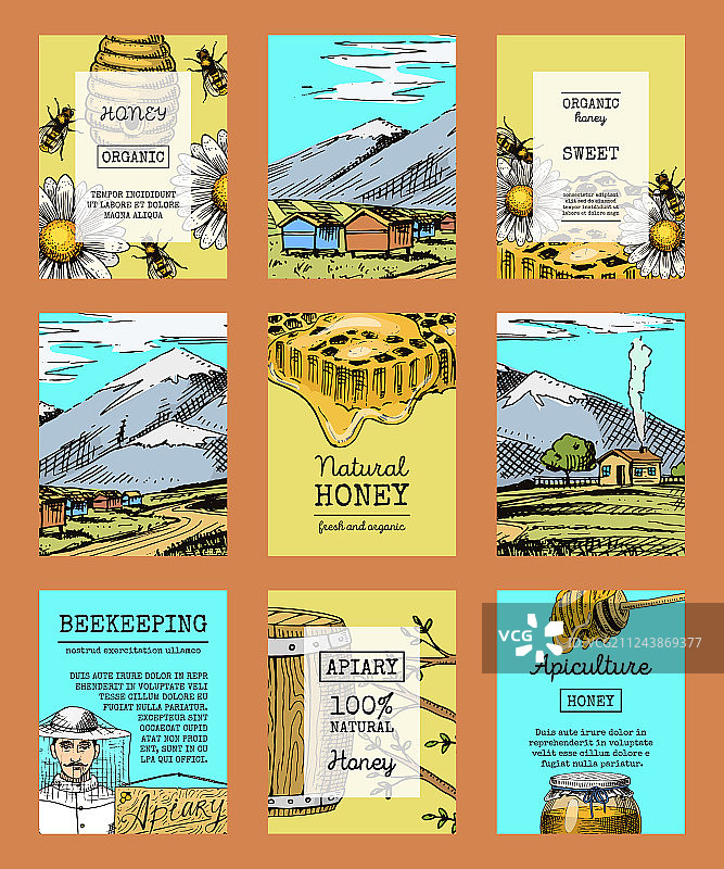 蜜蜂和蜂箱传单图片素材