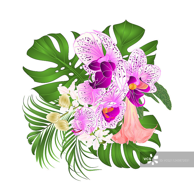 热带花卉花束图片素材