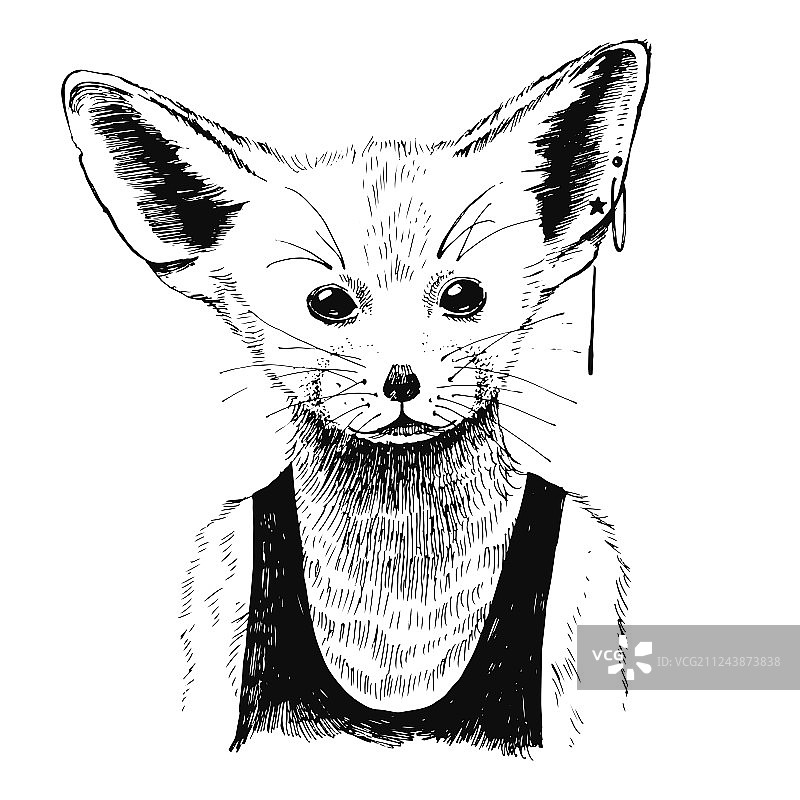 手绘穿着时髦的芬尼克狐图片素材