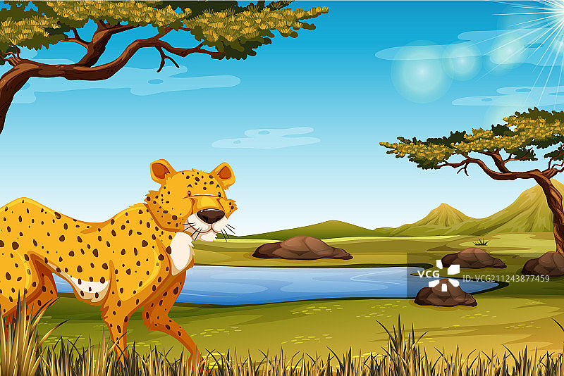 猎豹热带草原场景图片素材