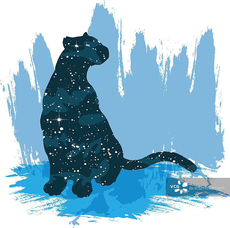 夜空豹纹印花图片素材