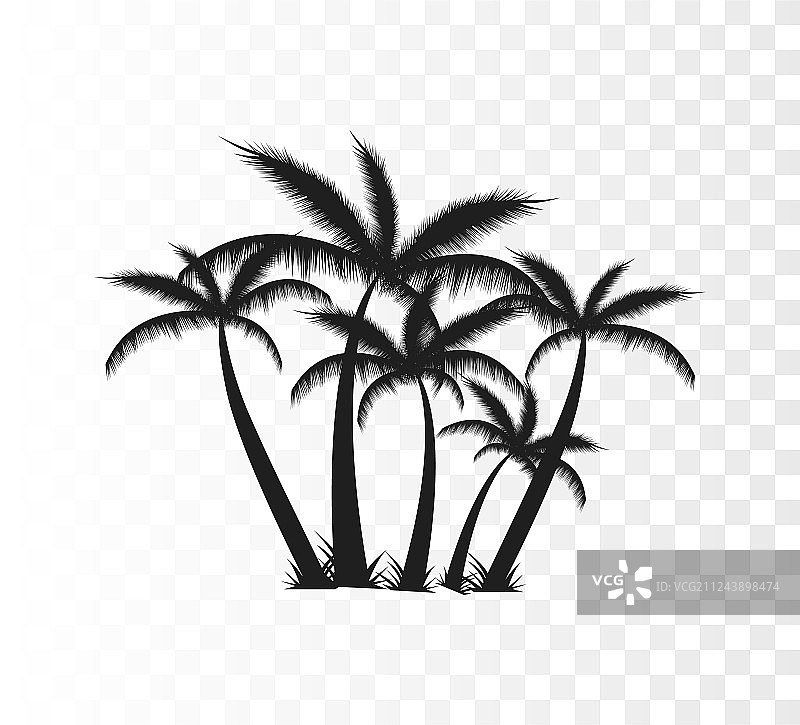 棕榈树轮廓图片素材