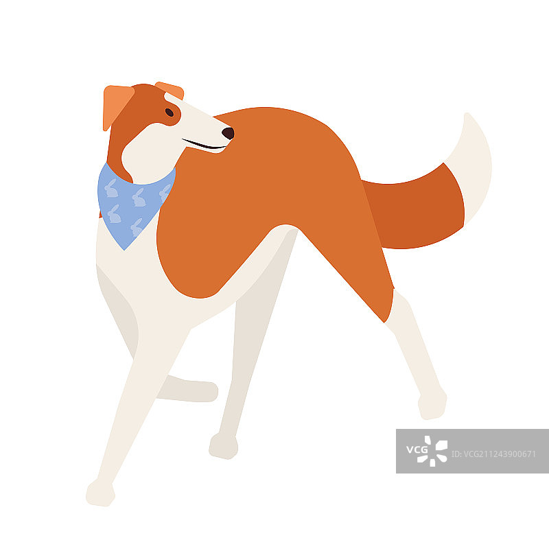 可爱的猎犬图片素材