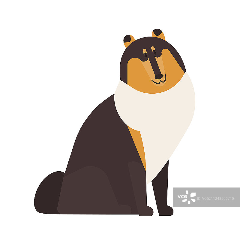 可爱粗毛牧羊犬图片素材